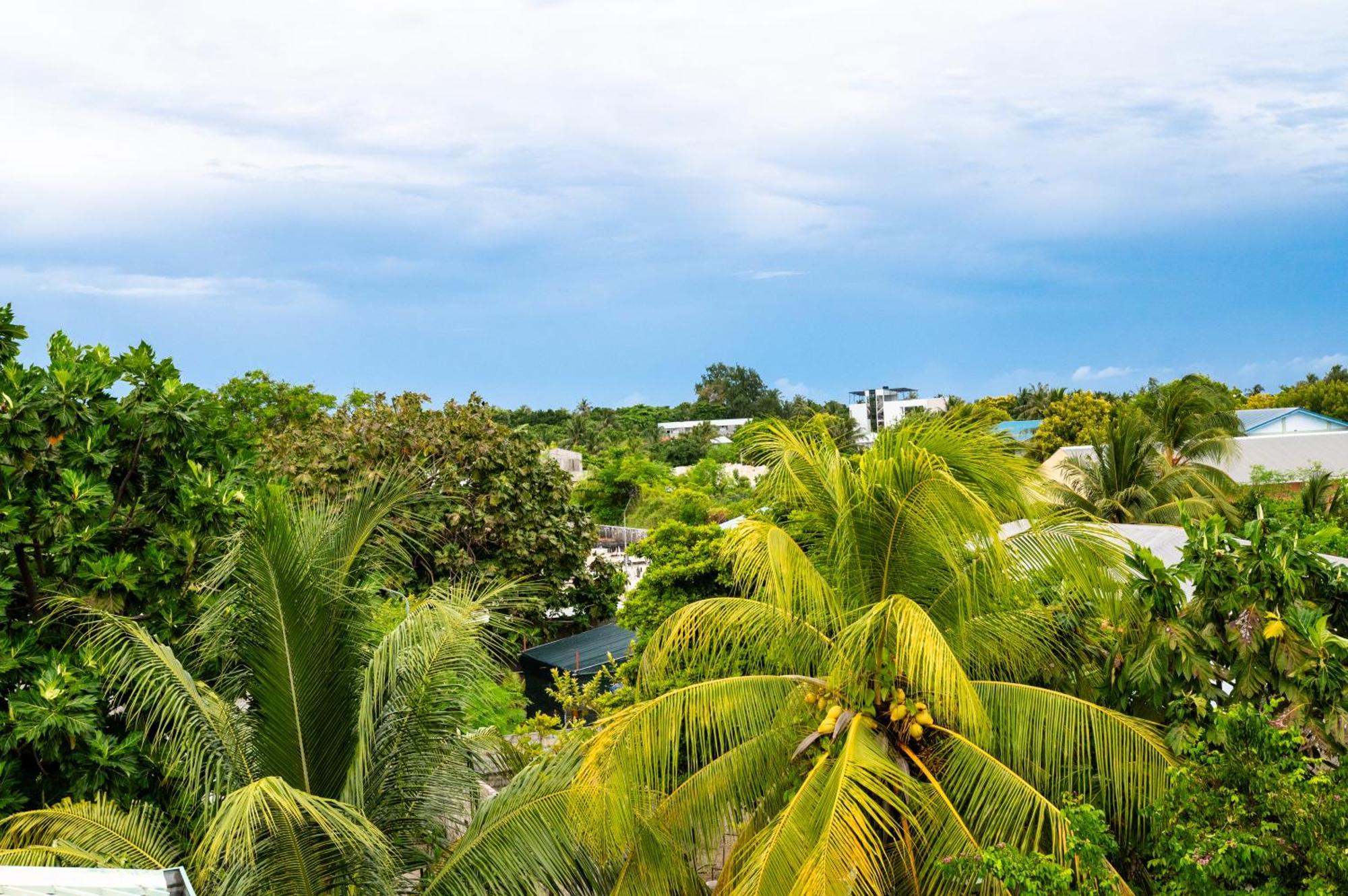 Biosphere Inn Dharavandhoo Exterior foto